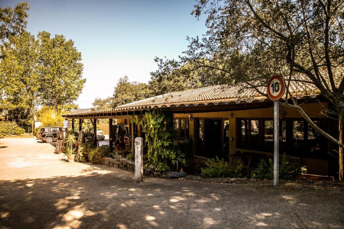 Olva - Maeva Sartene (Corsica)